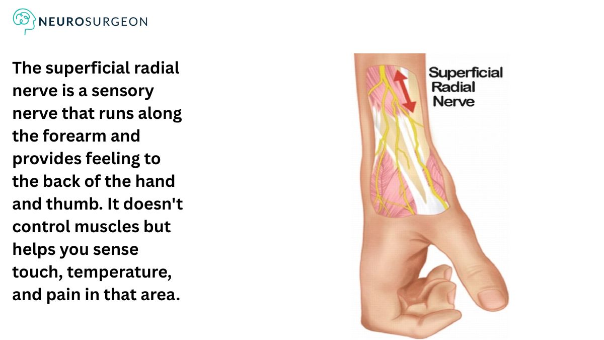 Nerve Biopsy-Dr Amit Deora a best neurologist in indore