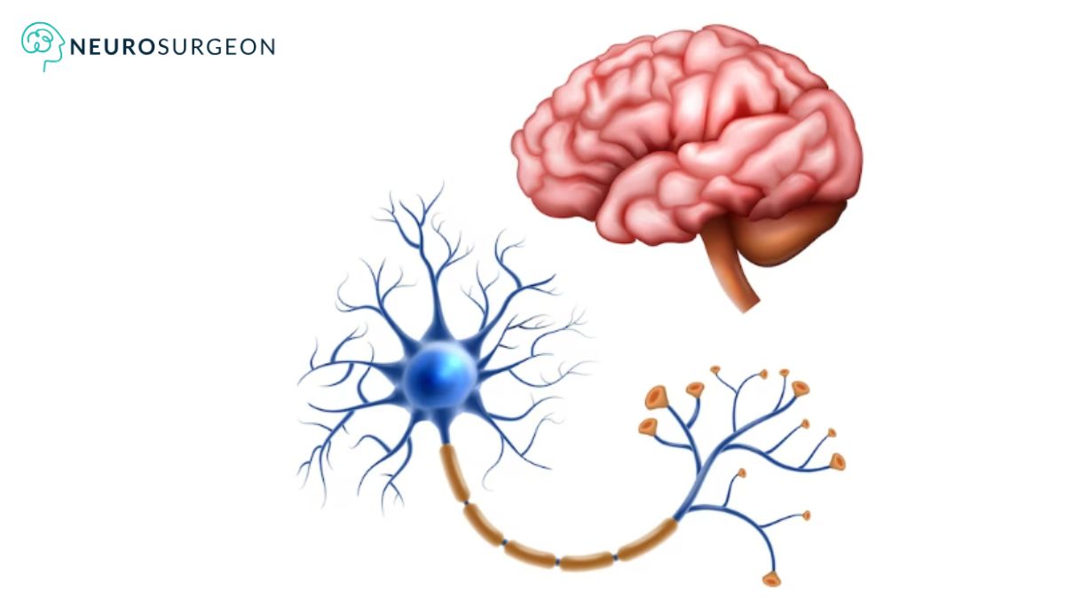 Neurosurgeon - Dr Amit Deora - Neurologist In Indore (1)