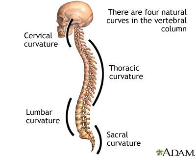 Paediatric Spinal Deformities