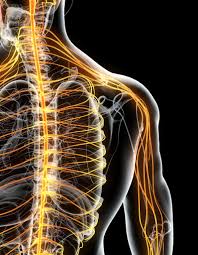 Peripheral Nerve Problem