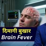 दिमागी बुखार क्यों होता है